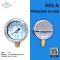 IK PRESSURE GAUGE 0-4 KG/CM2 & 0-60 PSI