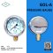 IK PRESSURE GAUGE 0-35 KG/CM2 & 0-500 PSI