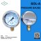 IK PRESSURE GAUGE 0-5 MPA & 0-50 KG/CM2