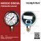Pressure Gauge Nuova Fima