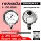 Pressure Gauge Nuova Fima 0-100 MBAR