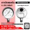 Pressure Gauge Nuova Fima 0-250 MBAR