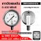 Pressure Gauge Nuova Fima 0-100 MBAR