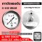 Pressure Gauge Nuova Fima 0-100 MBAR