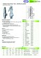 Arita Stainless Steel Safety Valve, RPTFE Seat, BSPT