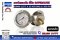 Safegauge Pressure Gauge 0-25 kg/cm2 & 0-350 psi