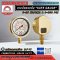 Safegauge Pressure Gauge 0-25 kg/cm2 & 0-350 psi Body : sus304 Dia.2.5" Conn.brass 1/4"pt Bottom Type