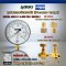 "TRERICE" PRESSURE GAUGE  MODEL : 620B RANGE : 0-300 PSI & 0-21 KG/CM2 & BRASS PRESSURE SNUBBER & BRASS NEEDLE VALVE