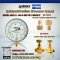"TRERICE" COMPOUND GAUGE  MODEL : 620B RANGE : 30-0-150 PSI & -30 INHG-10 KG/CM2 & BRASS PRESSURE SNUBBER & BRASS NEEDLE VALVE