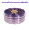 PVC Strip Curtain (ม่านริ้วพีวีซี) สีใสแบบกันกระแทก  ขนาด 200x2