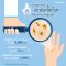 โฟมล้างมือ Foaming Hand Wash with Anti Bacterial