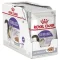 ROYAL CANIN BHW POMERANIAN LOAF 85G