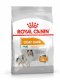 ROYAL CANIN CCN MINI COAT CARE