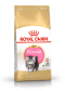 ROYAL CANIN FBN PERSIAN