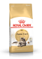 ROYAL CANIN FBN SIAMESE