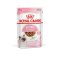 ROYAL CANIN FHW KITTEN  ชนิดเปียก