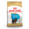 ROYAL CANIN BHN YORKSHIRE PUPPY 1.5K