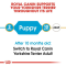 ROYAL CANIN BHN YORKSHIRE PUPPY 1.5K