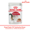 ROYAL CANIN FHW INSTINCTIVE อาหารแมวโต ชนิดเปียก