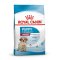 ROYAL CANIN SHN MED PUPPY