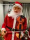 Santa Violin and Saxophone duet