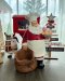 Santa Wine Bottle Holder