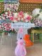 รีวิวFL003