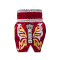 TOPKING THAI BOXING SHORTS 273