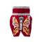 TOPKING THAI BOXING SHORTS 273
