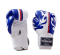 TOPKING GLOVES WHITE BLUE WORLD SERIES