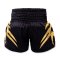 TOPKING THAI BOXING SHORTS 067