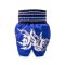 TOPKING THAI BOXING SHORTS 074