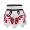TOPKING THAI BOXING SHORTS 078