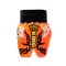 TOPKING THAI BOXING SHORTS 120