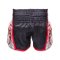 TOPKING THAI BOXING SHORTS 122
