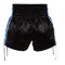 TOPKING THAI BOXING SHORTS SKY BLUE 202