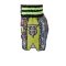TOPKING THAI BOXING SHORTS GREEN 223