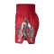 TOPKING THAI BOXING SHORTS RED 230