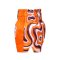 TOPKING THAI BOXING SHORTS ORANGE 252