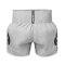 TOPKING THAI BOXING SHORTS GREY 259