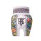 TOPKING THAI BOXING SHORTS WHITE 263