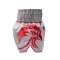 TOPKING THAI BOXING SHORTS 266