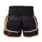 TOPKING THAI BOXING SHORTS 268