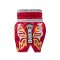 TOPKING THAI BOXING SHORTS 273
