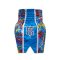 TOPKING X PUCK THAI BOXING SHORTS 01