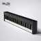 Badger BX-5 Digital Piano