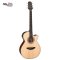 Takamine GF15CE Acoustic Electric Guitar
