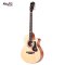 Mantic GT10AC Acoustic Guitar ( Solid Top )