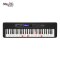 Casio LK-S450 Casiotone Portable Electronic Keyboard with Lighted Keys