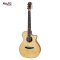 Mollo M-31 Acoustic Guitar ( Solid Top )